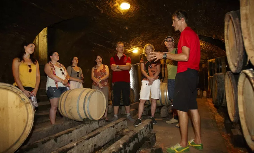 Image 3: Atelier œnologique pour 1 ou 2 personnes avec CHATEAU L'EVESQUE