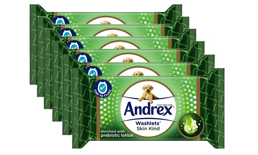 Image 3: Andrex Aloe Vera Toilet Paper and Toilet Tissue Wipes