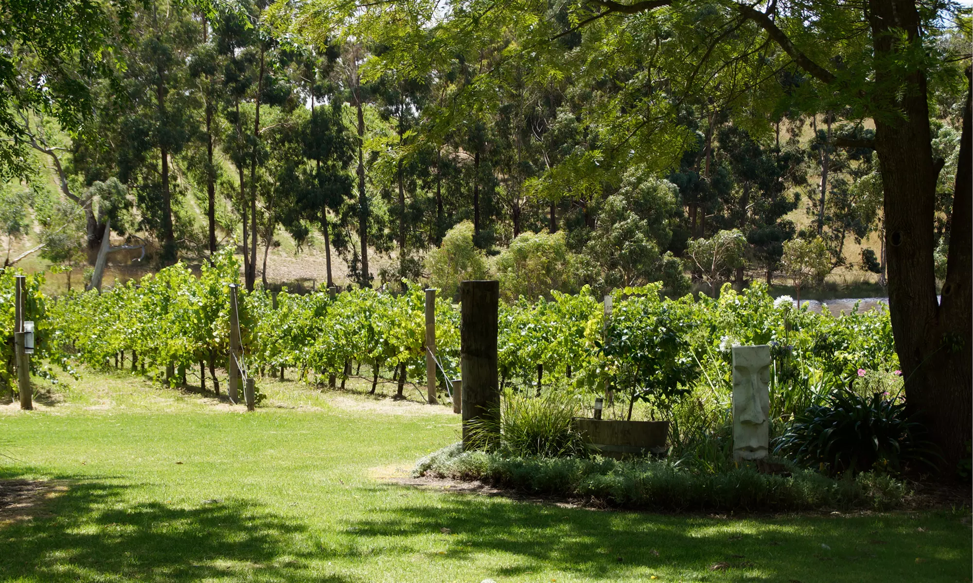 Winery Experience Package