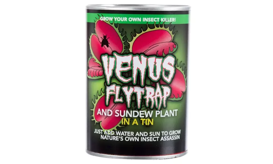 1 ou 2 pièges à mouche de droséra Sundew et Venus Flytrap - Primary Image