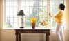 Window Cleaning Services from The Pane Pros. Two Options Available.