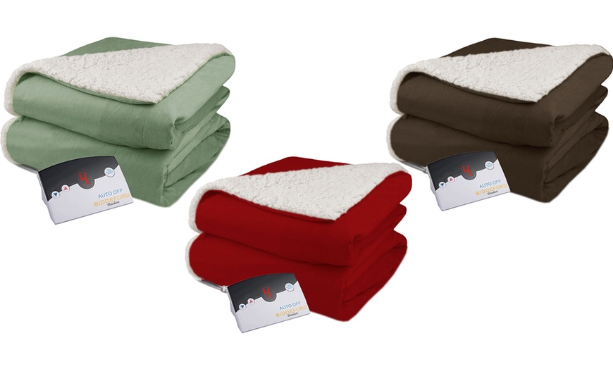 Biddeford Velour Sherpa Electric Blanket | Groupon