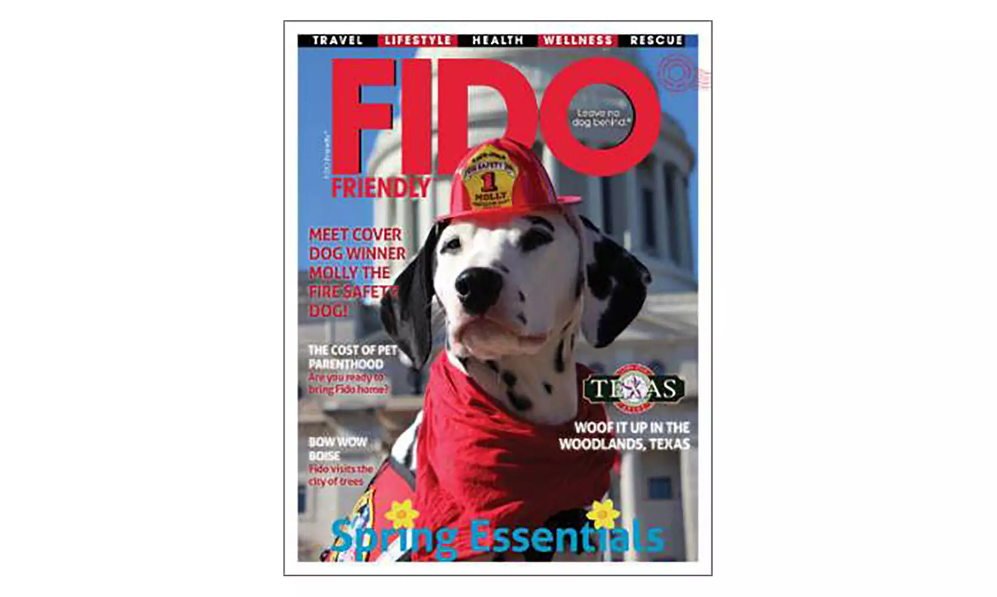 One-Year Subscription to Digital FIDO Friendly Magazine (Up to 38% Off) - Primary Image