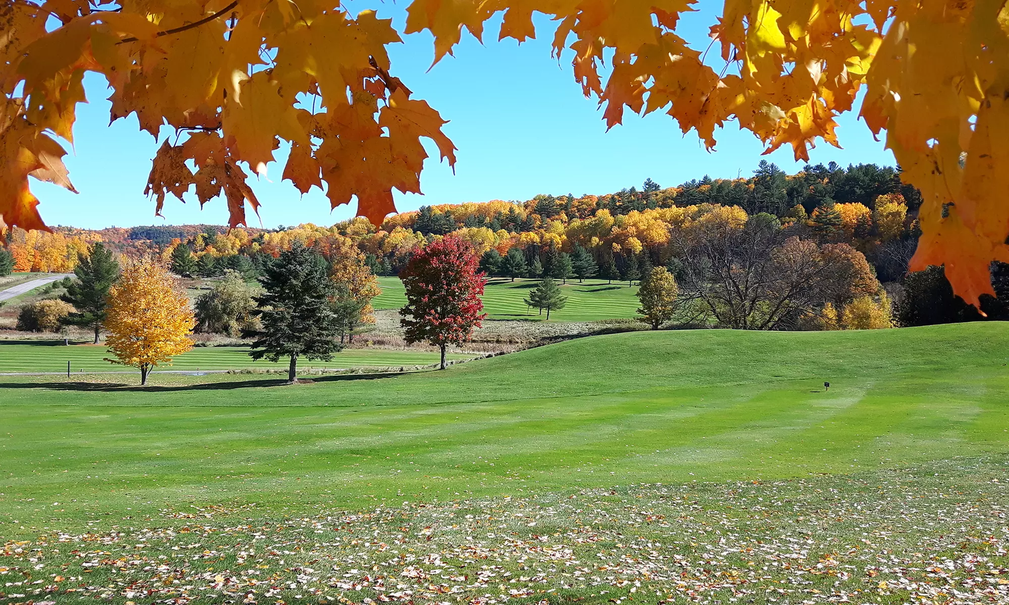 One Round of Golf for Two with Cart or for Four with Two Carts at Golf Mont Cascades (Up to 33% Off) - Second Medium