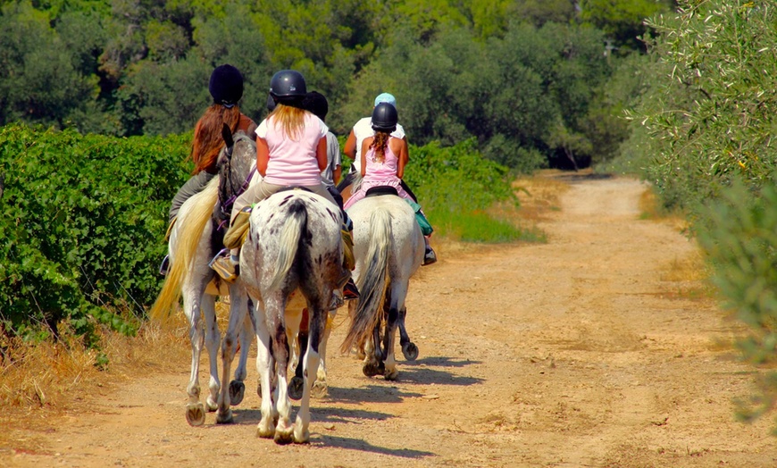 Image 6: ¡Aprende a montar a caballo como un pro en Centre Hípic Montserrat!