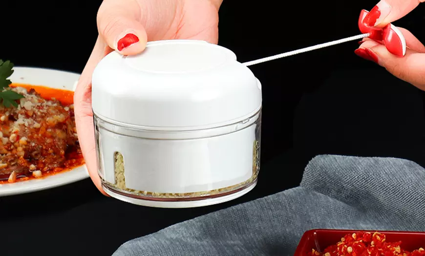 Image 2: Manual Garlic Vegetable Grinder
