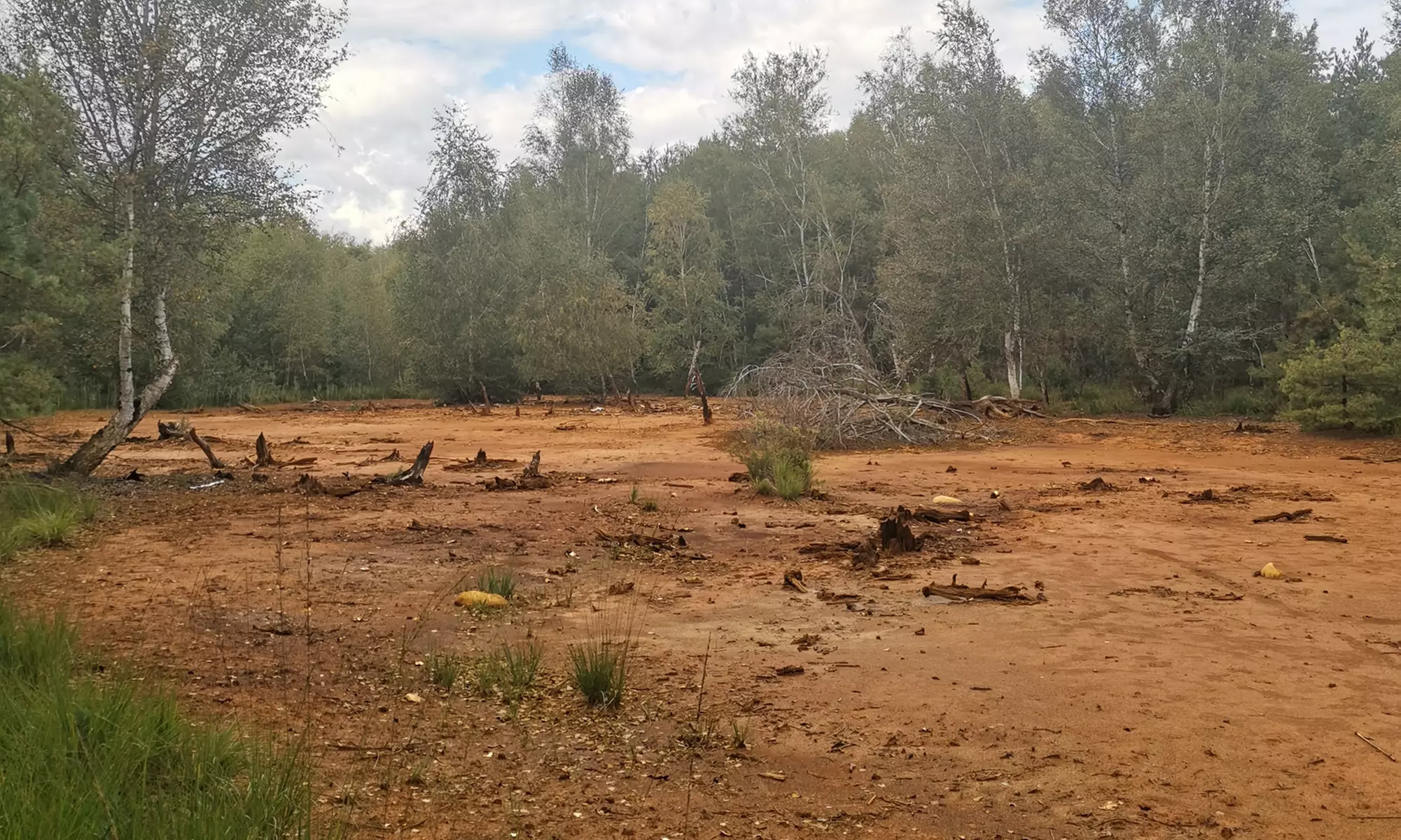 Alpaka- und Lama-Wanderung