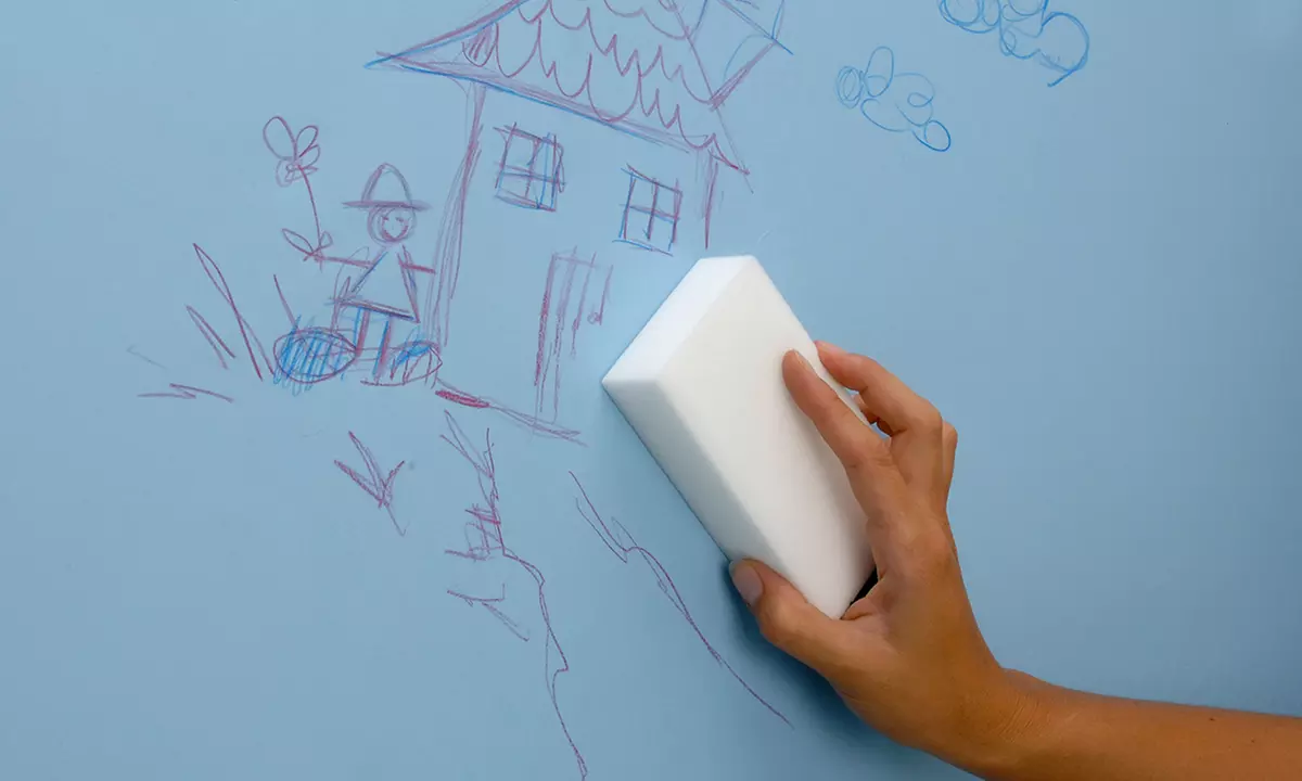 Lot de 4, 8 ou 12 éponges universelles - Primary Image