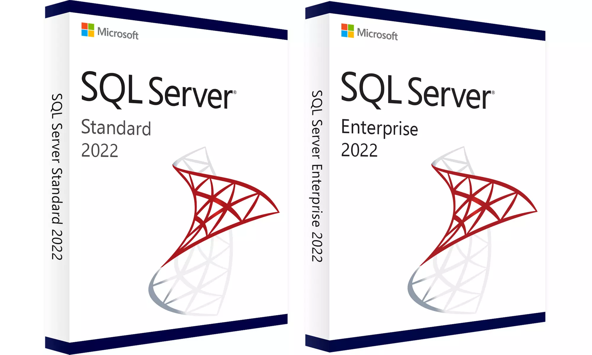 Microsoft SQL Server 2022 Standard or Enterprise,  Ideal for Database Solutions (Up to 70% Off) - Primary Image
