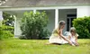 Two Fertilizing-and-Weed Treatments or Two-Step Tree-and-Shrub-Care Program from Spring-Green Lawn Care (Up to 66% Off)