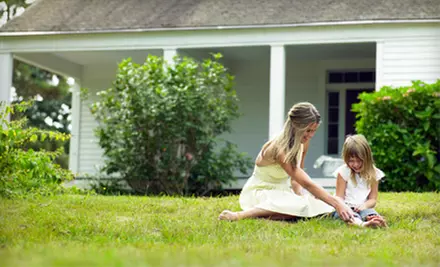 Two Fertilizing-and-Weed Treatments or Two-Step Tree-and-Shrub-Care Program from Spring-Green Lawn Care (Up to 66% Off) - Primary Image