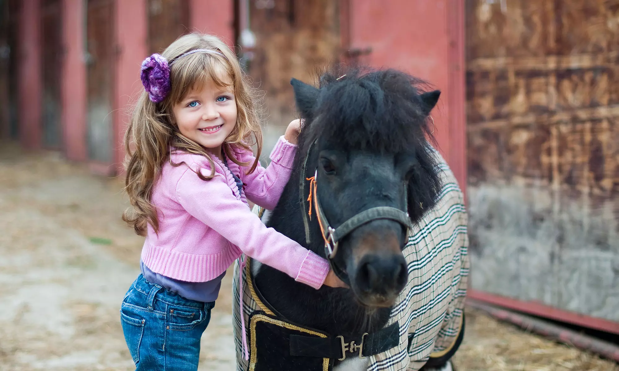 Pony Party For Up To 20 Children or One-Hour Pony Ride For Two Children at Laughing Stock Ranch (Up to 50% - Primary Image