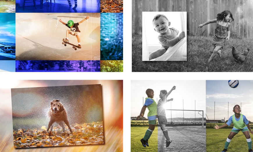 Image 13: Adobe Photoshop or Premiere Elements 2022  One-Time Purchase
