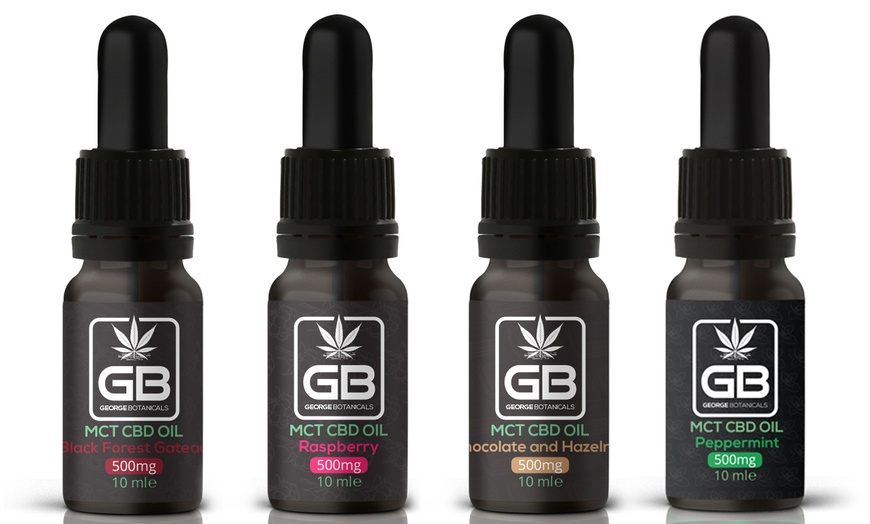 Image 1: MCT Flavoured CBD Oil Drops