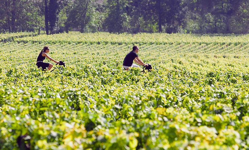 Image 1: Voyage dans le temps et les vignes, à deux