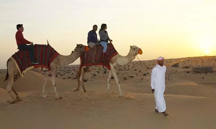 Experience a Desert Safari Adventure with Basic or VIP Perks!