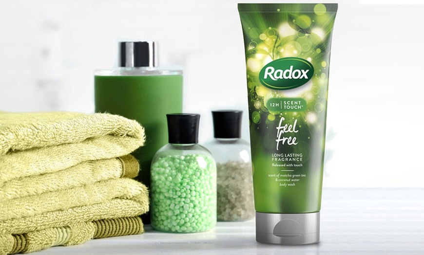 Image 2: Radox Body Wash Six-Pack