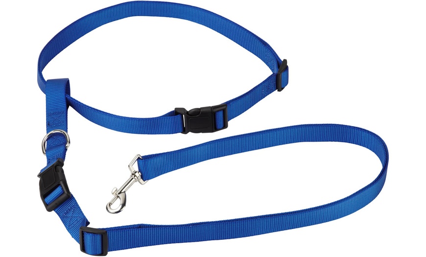 Image 4: Bunty Hands-Free Dog Lead