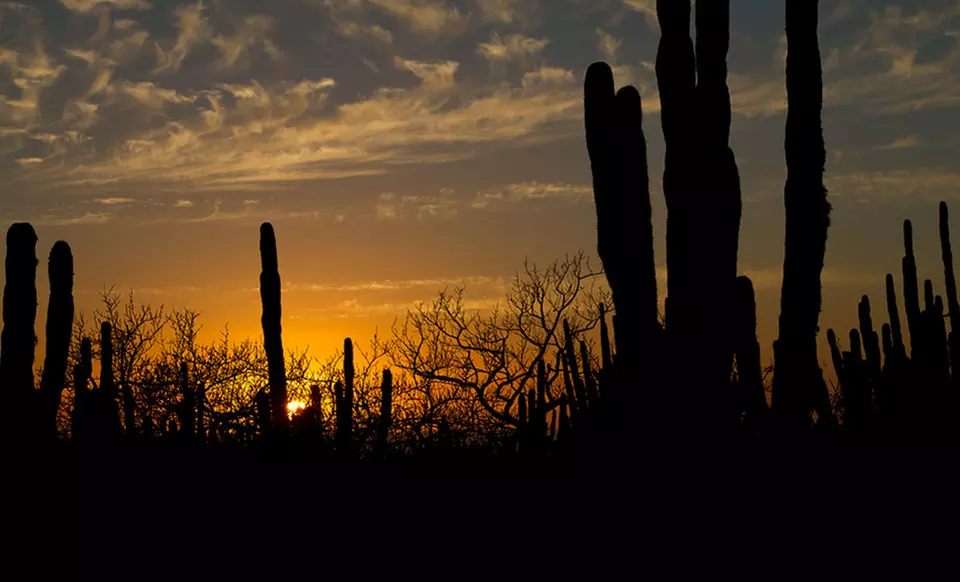 4-, 5-, or 6-Night Stay at Mayan Village Resort in Baja California Sur, Mexico - Second Medium