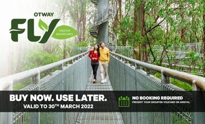 Otway Fly Treetop Walk