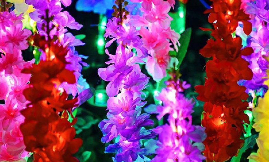 Image 3: One, Two or Four Solar Artificial Violets Flowers Lights