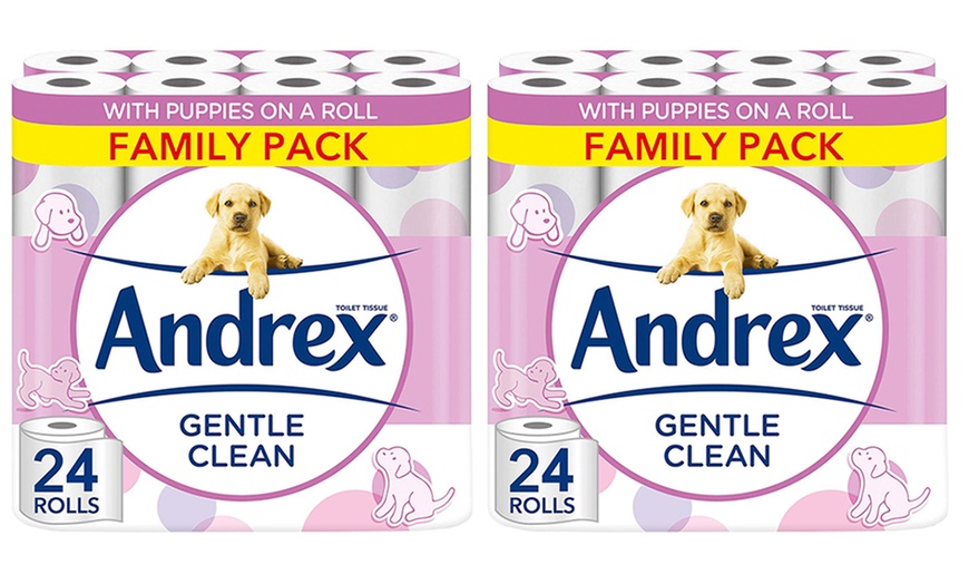 Image 4: Up to 96 Rolls of Andrex Toilet Paper