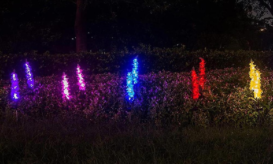 Image 5: One, Two or Four Solar Artificial Violets Flowers Lights