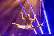 Wintercircus Pallasso 2025-2026 in 's-Hertogenbosch: Tickets voor tribune A, B of C, nu met tot 33% korting - Second Medium