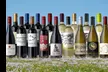 Splash Wines: 18 Top-Rated Bottles of Red, White, or Mixed Wine - Second Medium