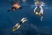 Snorkeling, Mermaids, or Flotation Therapy Experiences! Save Up To 10% with Eco Sea Scooter Snorkeling Academy! - Second Medium