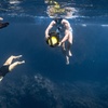 Image 1: Sea Scooter Trips with Snorkeling, Mermaids, or Flotation Therapy!