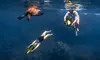 Guided Tours with Sea Scooter Trips, Snorkeling, Mermaid Photoshoot, or Flotation Therapy!