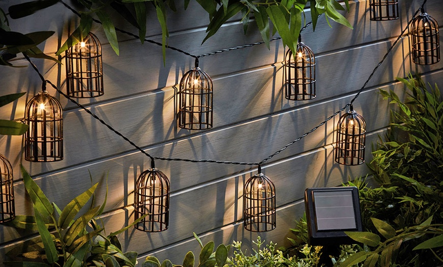 Image 3: Solar LED Bulb Cage String Lights