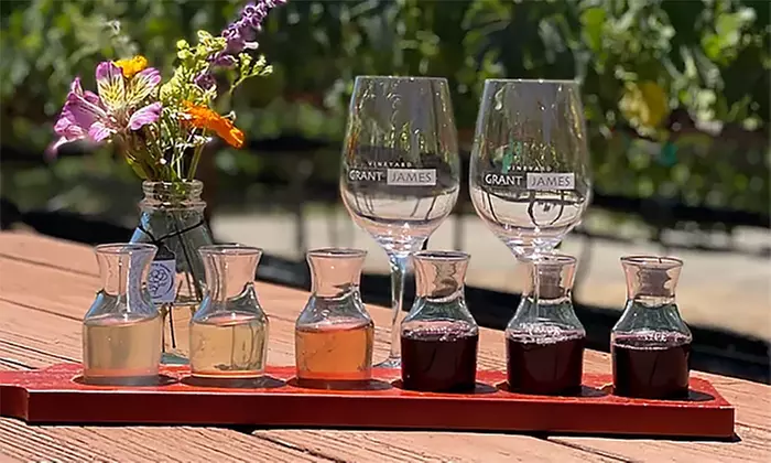 Embark on a Wine Tasting Journey with Vineyard Grant James, Offering Packages for Two or Four People, Up to 50% Off - Primary Image