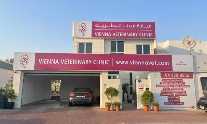 Transform Your Pets with the Choice of Grooming Service from Vienna Veterinary Clinic, available at Up to 66% Discount - Image 3