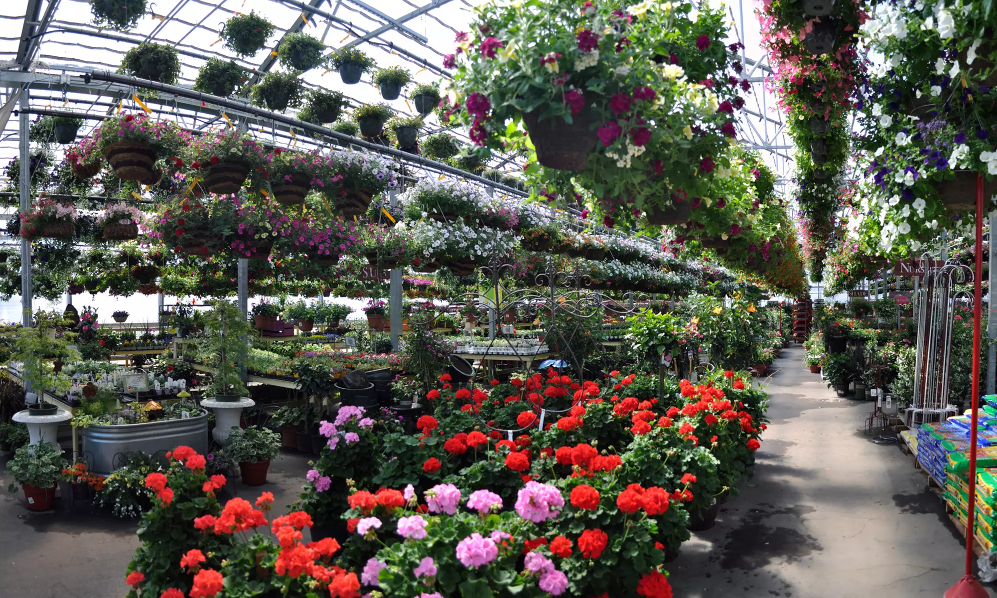 Plants, Supplies, Trees, and More at Cal's Market and Garden Center (Up to 28% Off). Two Options Available. - Primary Image