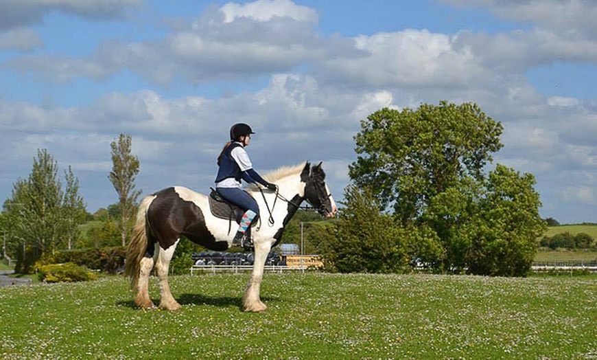 Image 1: 90-Minute Horse Riding Session