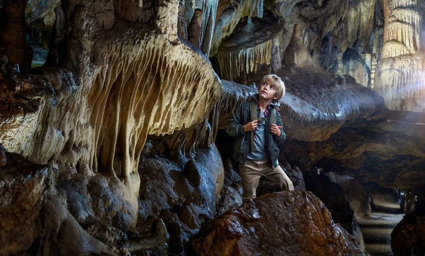 Image 9: Aventurez-vous au cœur de la Grotte de Han et de son Parc Animalier