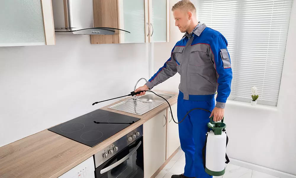 Up to 70% Off on Pest Control Service - General at Frontline Exterminating - Primary Image