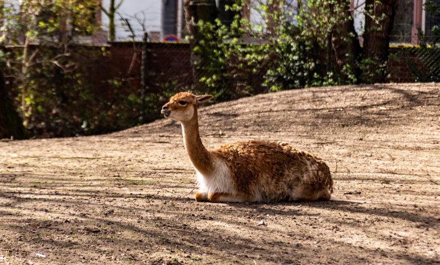 Image 13: Workshop für Kinder: Fotografieren im Zoo