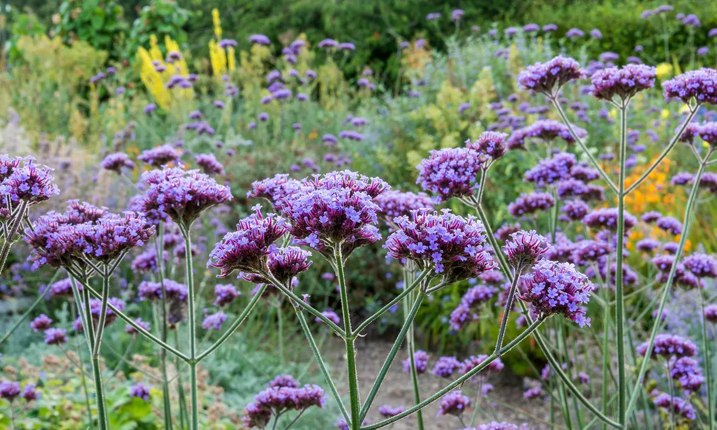 Up to 35% Off on Arboretum / Botanical Garden