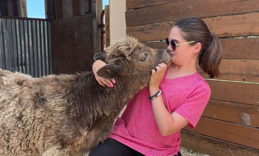 Image 2: Get Admission to Petting Zoo and Round of Mini Golf for 1, 2, 4, or 6 People (Up to  35% Off)
