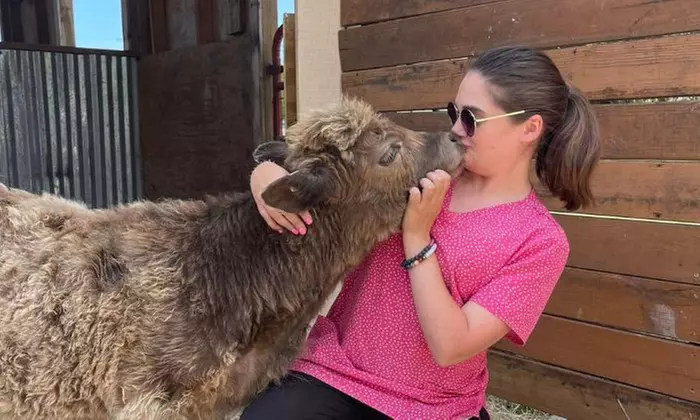 Admission to Petting Zoo and Round of Mini Golf for 1, 2, 4, or 6 