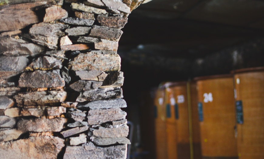 Image 4: Dégustation - assemblage de vin au chanvre dans un chai avec Brume CBD