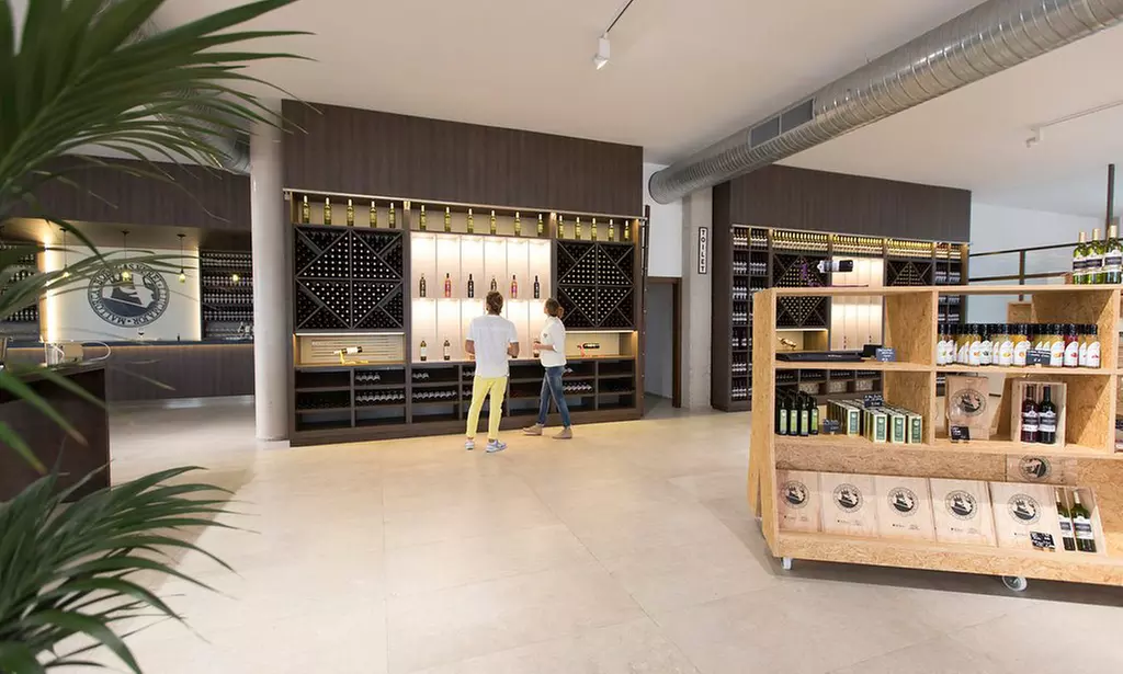 Visita guiada y cata de vinos para 2 o 4 personas