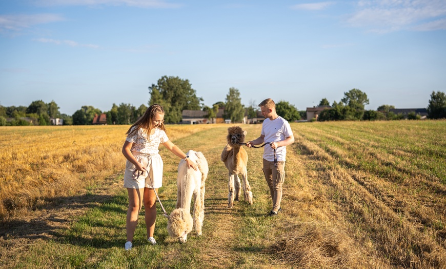 Image 4: Do 15% zniżki na Zoo/Park safari w Alpakowa Polana