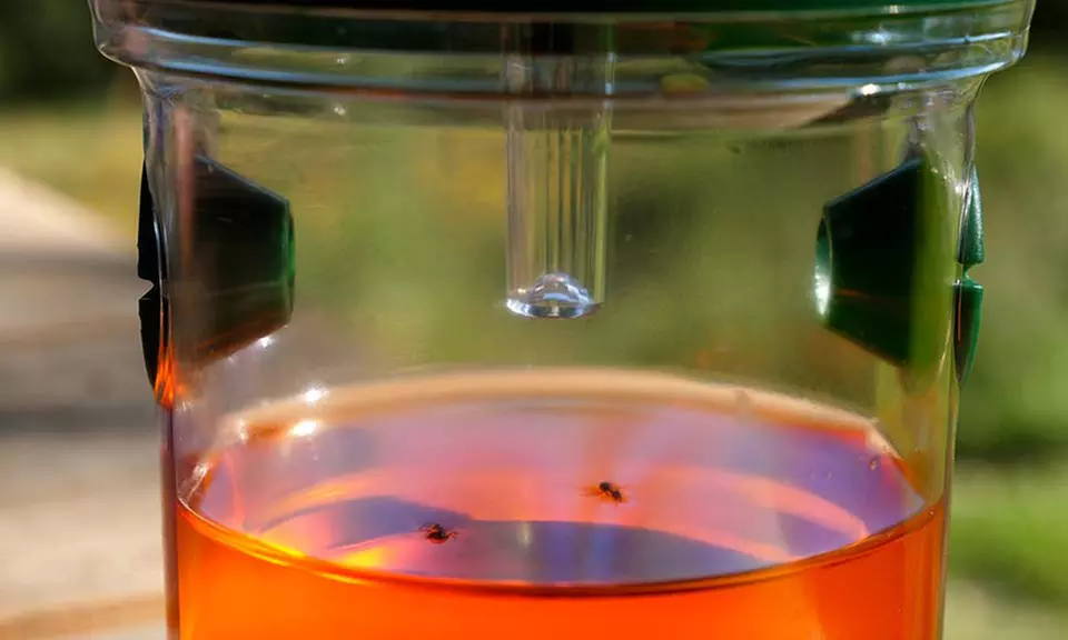 1x oder 2x Solar-Insektenfalle für Stechmücken und Wespen