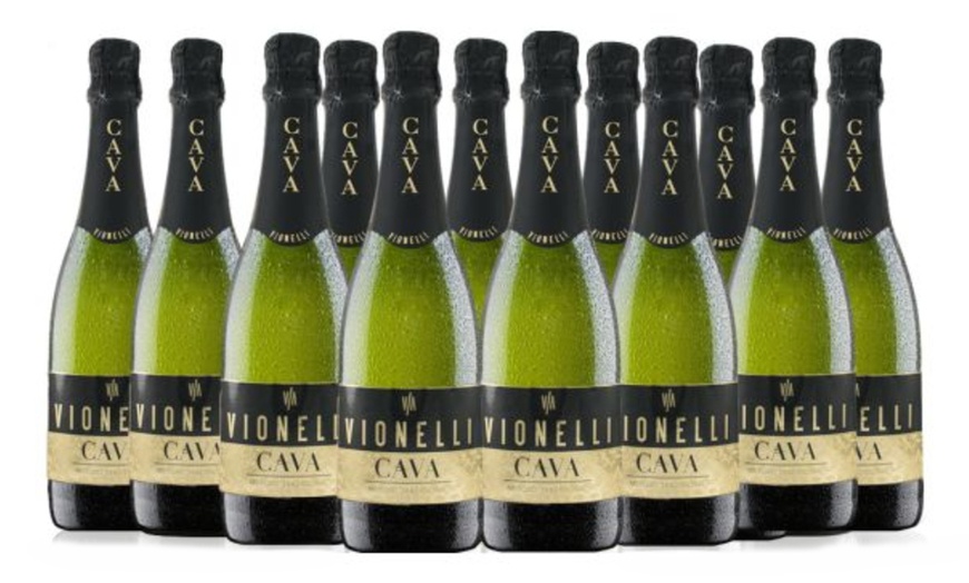 Image 1: 12 Bottles Of Spanish Cava
