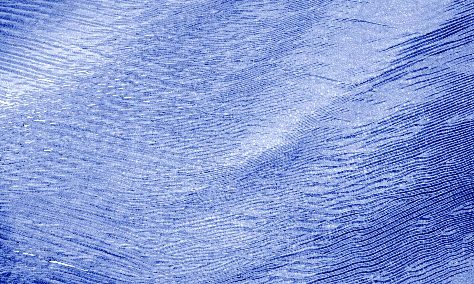 Sealy Posturepedic Memory Foam and Cooling Gel Contour Pillow - Second Medium