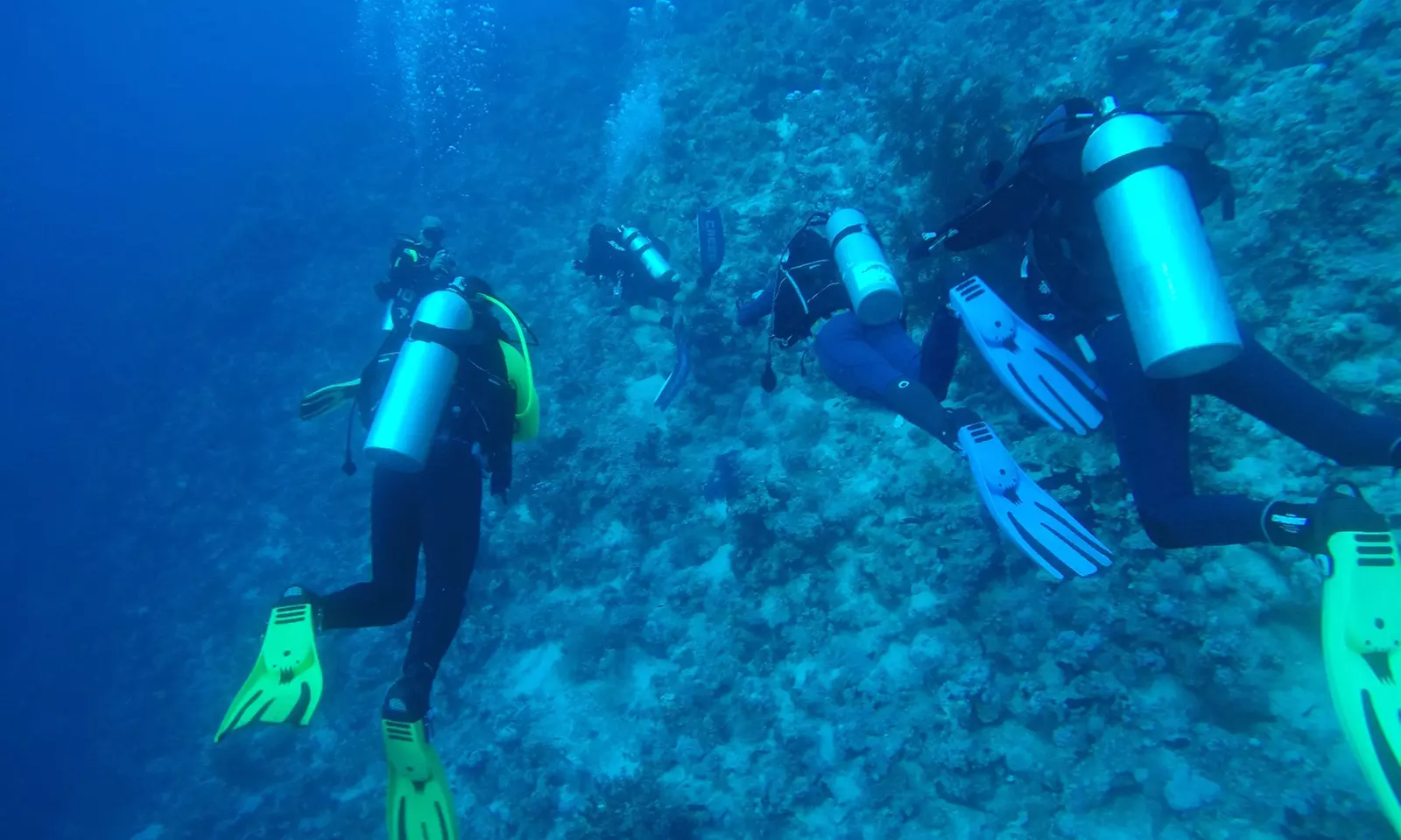 Deep blue: duikcursus naar keuze